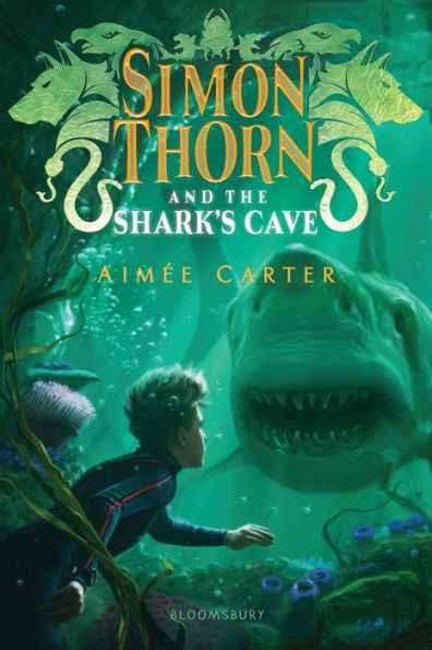 Simon Thorn and the Shark’s Cave