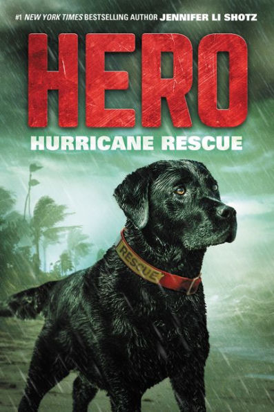 Hurricane Rescue