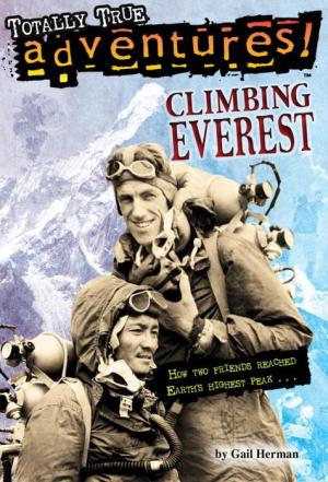 Climbing Everest