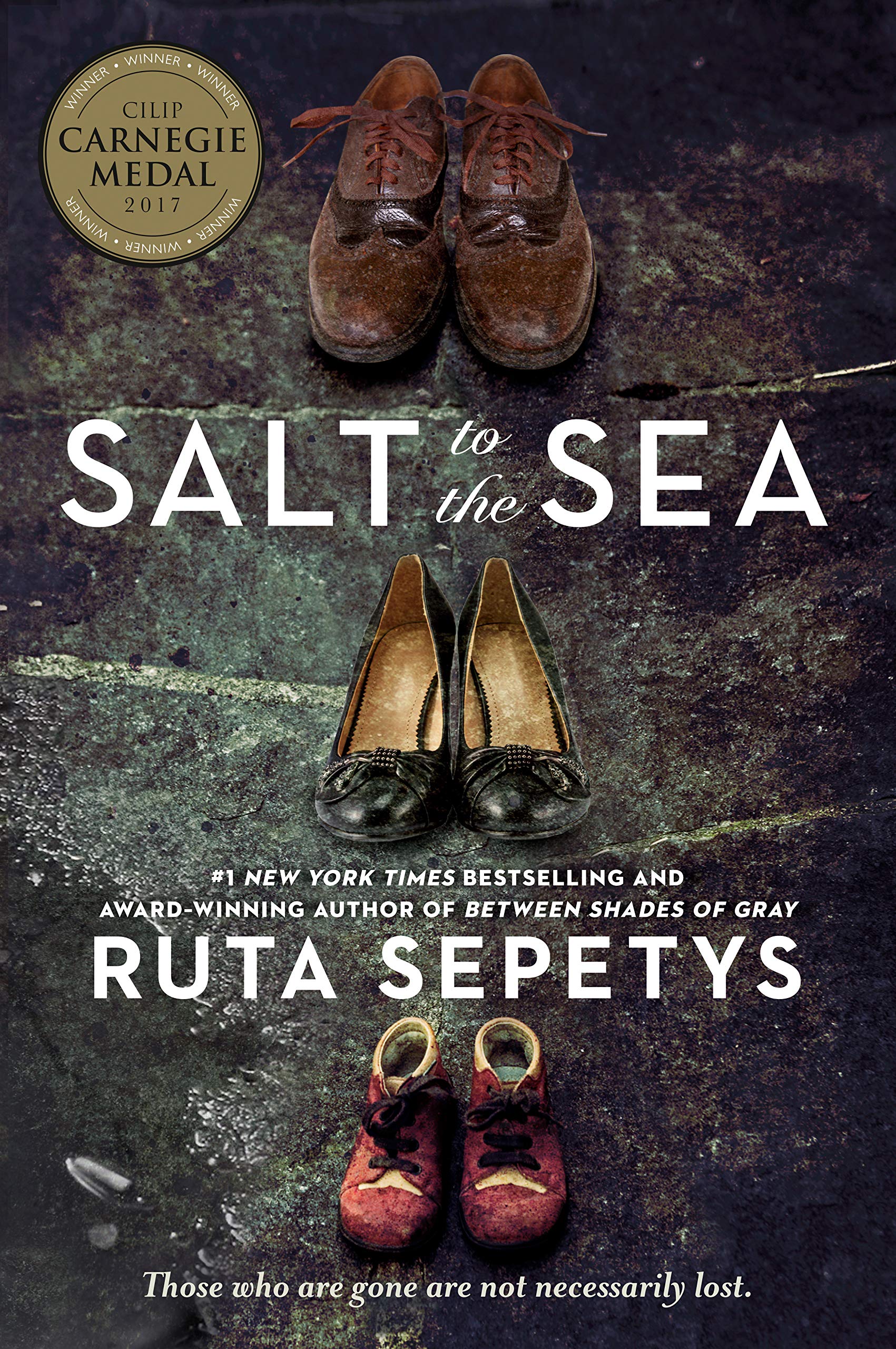 salt-to-the-sea-sneak-peek-books