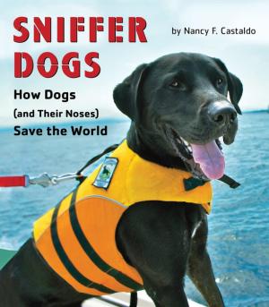 Sniffer Dogs: How Dogs (and Their Noses) Save the World